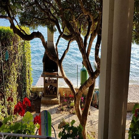 Apartman Andrija Bibinje Εξωτερικό φωτογραφία