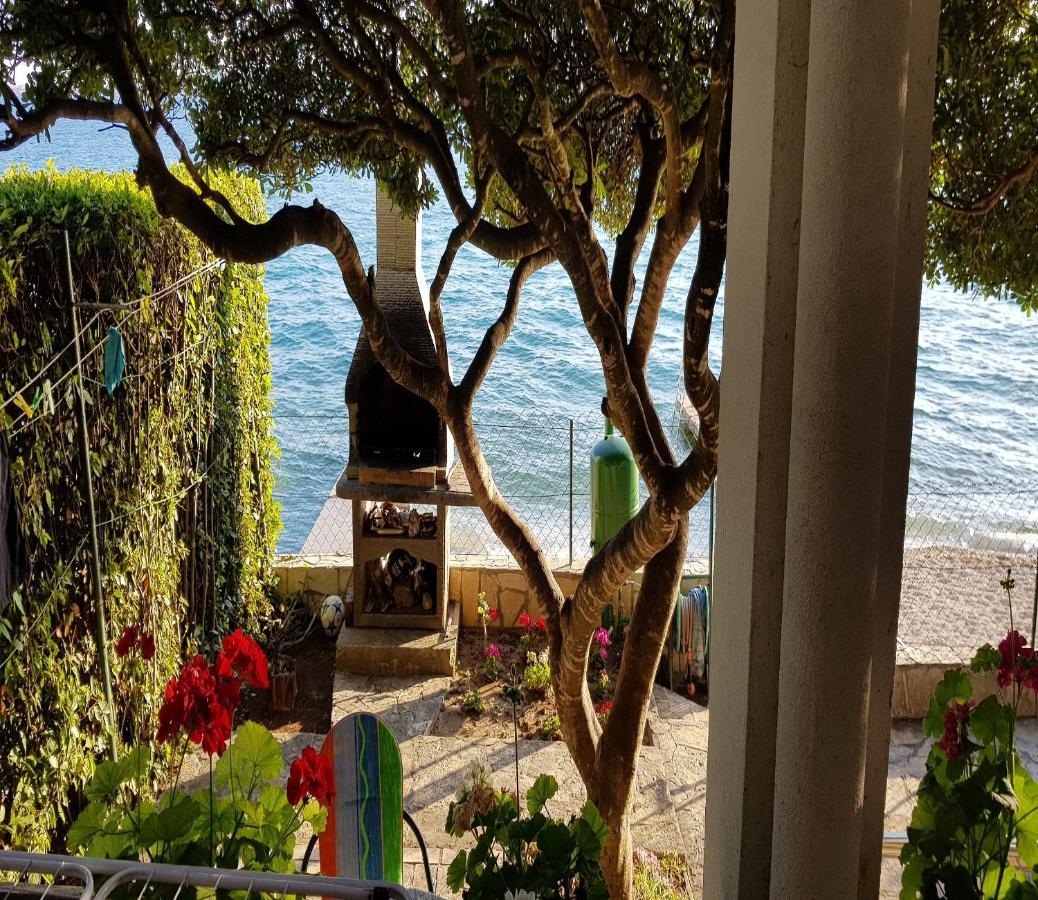 Apartman Andrija Bibinje Εξωτερικό φωτογραφία