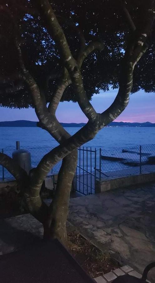 Apartman Andrija Bibinje Εξωτερικό φωτογραφία